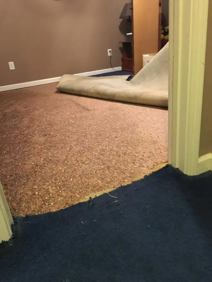 Carpet pad removal revealing water damage during Drying & Dehumidification in Clemson University