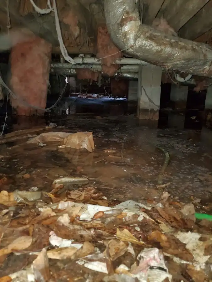 Crawl space flood assessment for Commercial Water Damage Restoration in Clemson University